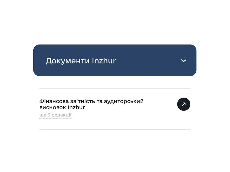Inzhur опублікував всю фінансову звітність та аудиторські висновки за 2024 рік Inzhur опублікував всю фінансову звітність та аудиторські висновки за 2024 рік